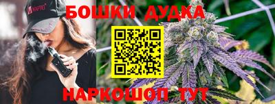 бошки Новокубанск