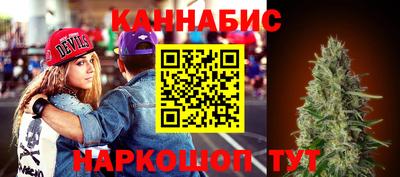 ГАЛЛЮЦИНОГЕННЫЕ ГРИБЫ Новозыбков