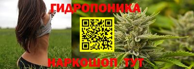 apvp Новодвинск