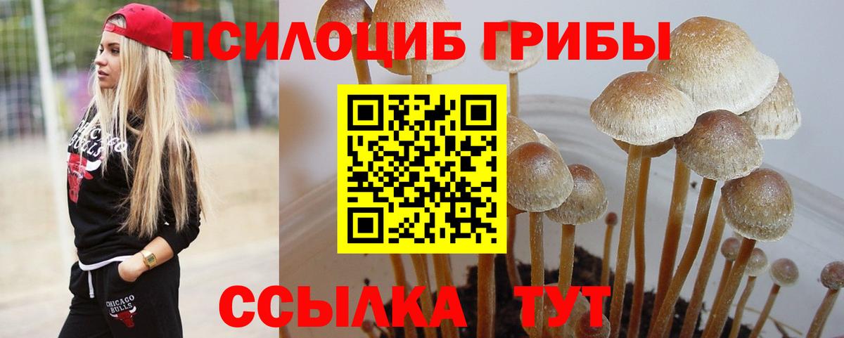 Галлюциногенные грибы прущие грибы Тихвин